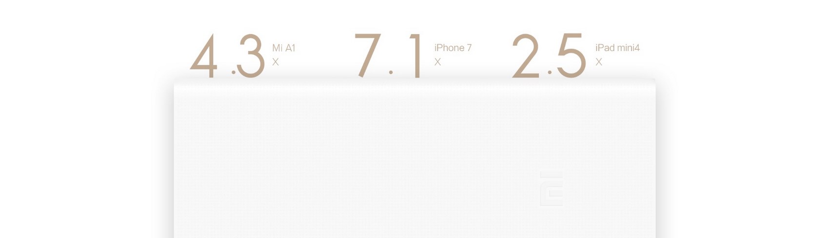 Xiaomi Mi 20000mAh Power Bank 2C Dual USB - More Charges in one go